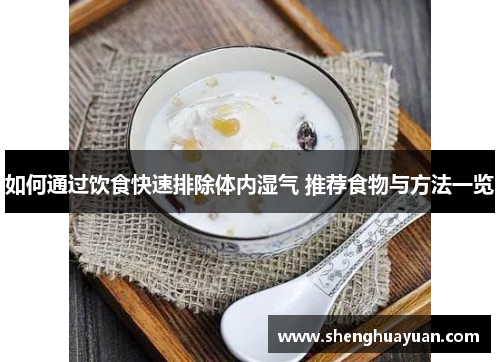 如何通过饮食快速排除体内湿气 推荐食物与方法一览