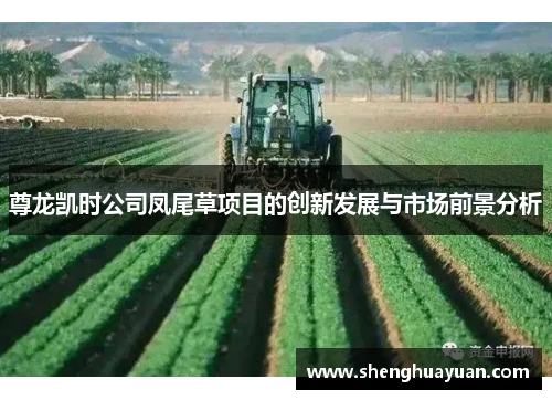 尊龙凯时公司凤尾草项目的创新发展与市场前景分析