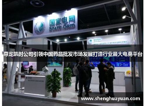 尊龙凯时公司引领中国药品批发市场发展打造行业最大电商平台