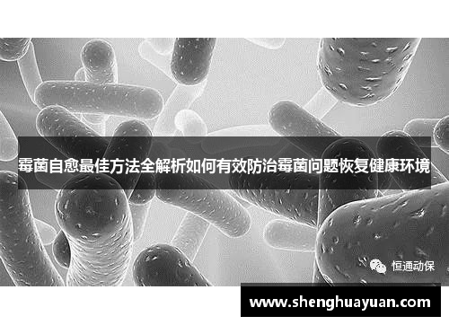 霉菌自愈最佳方法全解析如何有效防治霉菌问题恢复健康环境