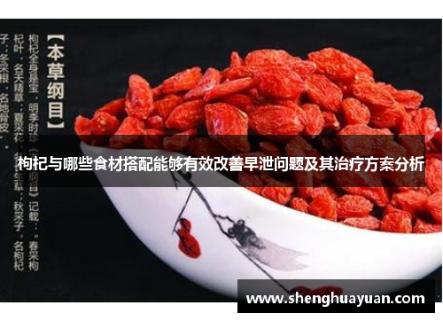 枸杞与哪些食材搭配能够有效改善早泄问题及其治疗方案分析
